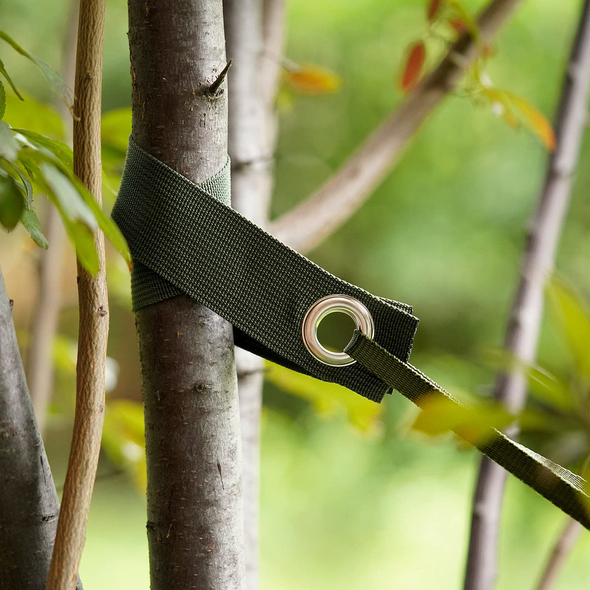 Shitailu wind protection use case helps safeguard branches during storms