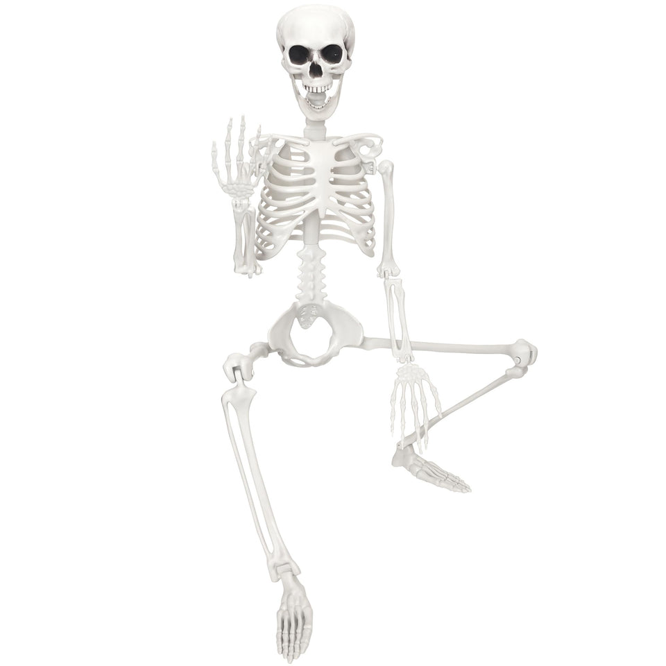 SHOCOSTO 3ft life-size skeleton ready for dramatic Halloween display.