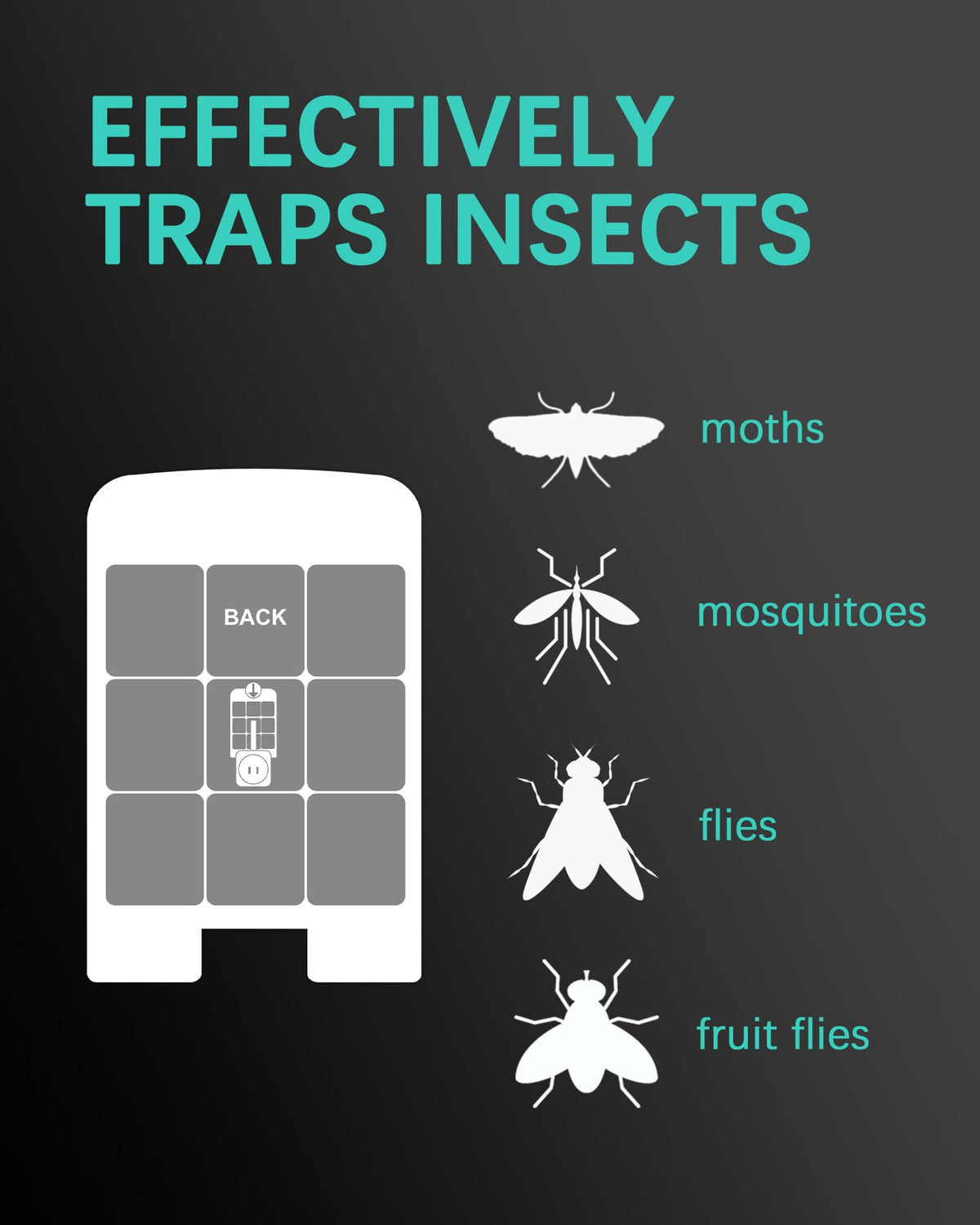 Close-up of glue boards on a Shootingstar DT3007 trap trapping small insects.