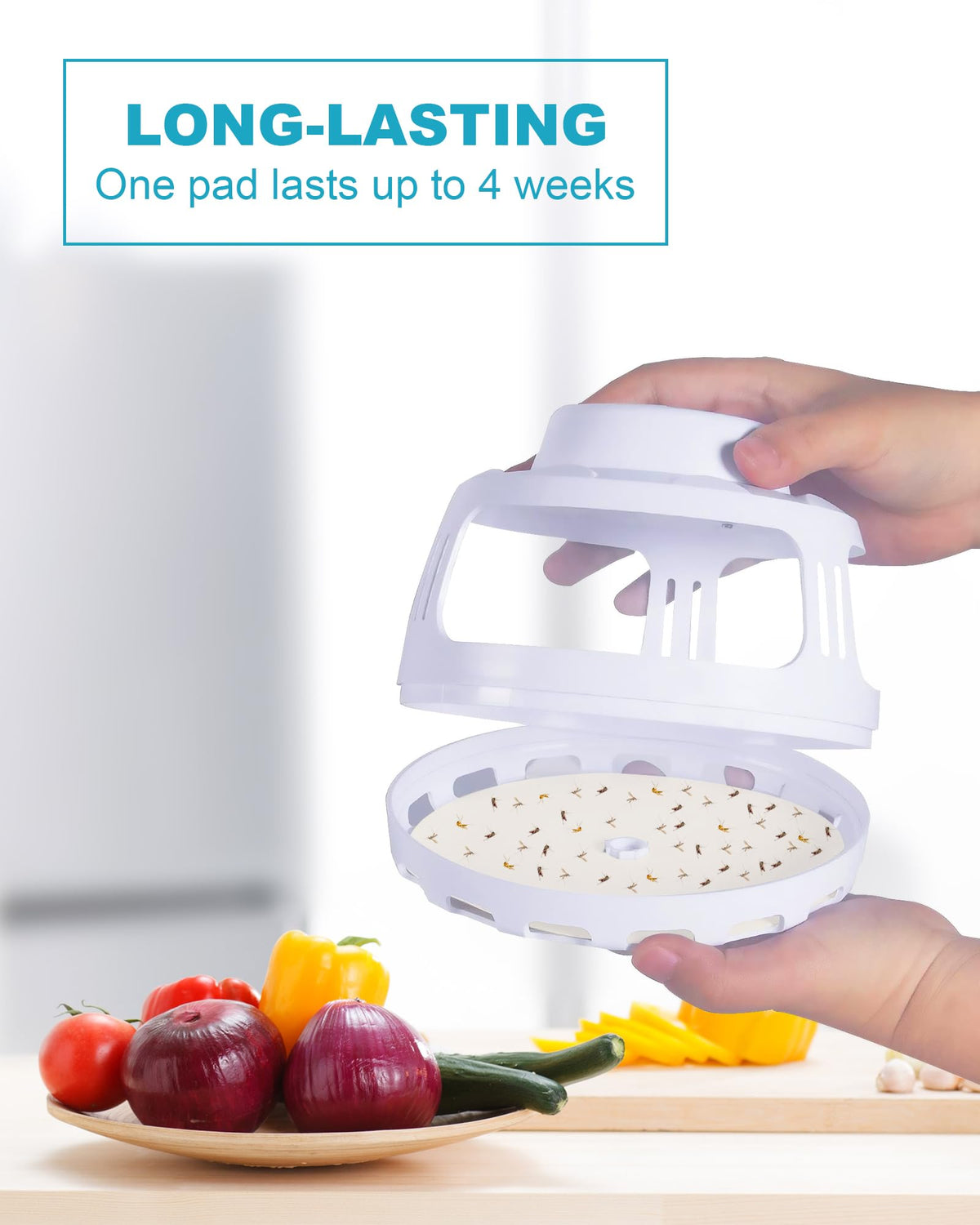 Shootingstar refill disc lasts up to four weeks with non-toxic adhesive