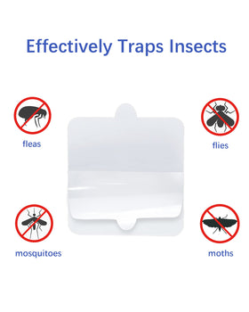 Shootingstar square glue board with strong adhesion captures fleas securely.