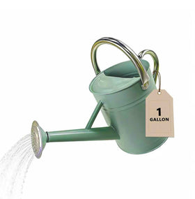 Shopwithgreen 1-gallon cream-green watering can, ideal for indoor and outdoor plant care.