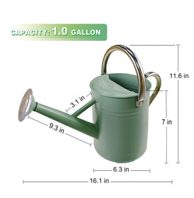 Shopwithgreen removable sprinkler head for delicate mist or direct flow.