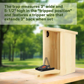 Showingo Van ERT sparrow trap for back-opening boxes supports easy maintenance.