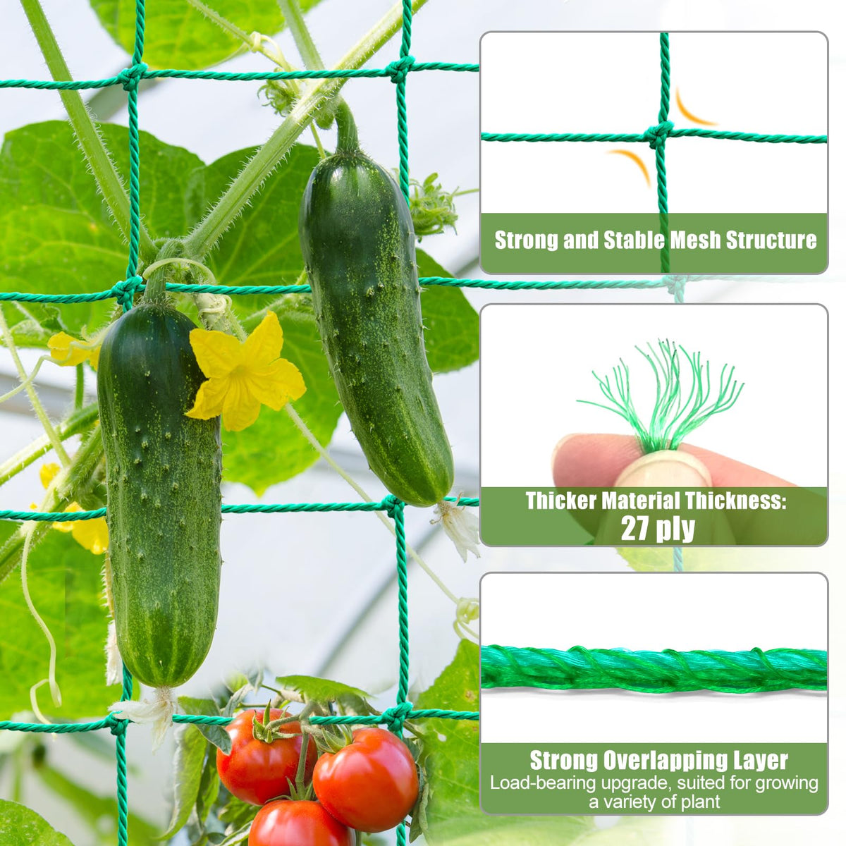 SHPPETONB heavy-duty plant netting stretched over a trellis