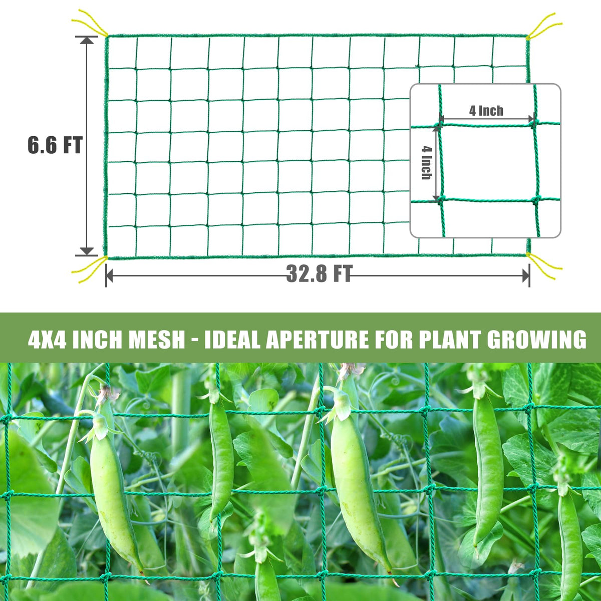 SHPPETONB heavy-duty trellis netting nylon threads providing strong load-bearing for fruit and vegetable vines.