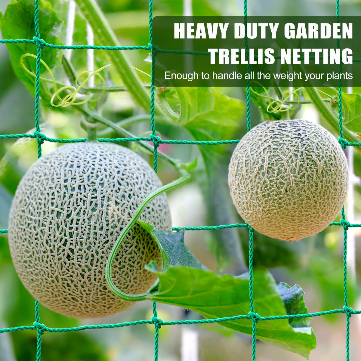 SHPPETONB vegetable netting supports climbing vines like grapes and beans.