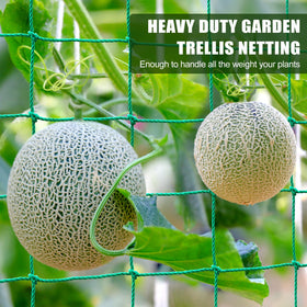 SHPPETONB vegetable netting supports climbing vines like grapes and beans.