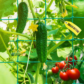 SHPPETONB Trellis netting for outdoor use provides sturdy support for heavy crops.