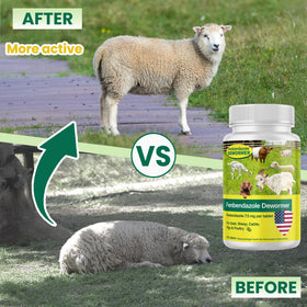 SHUNNIUB fenbendazole tablets ready for direct dosing across varied animals.