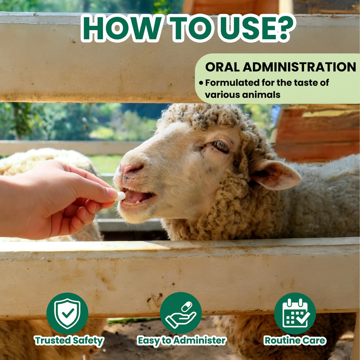 SHUNNIUB fenbendazole bottle label shown for quick reference during animal care.
