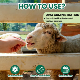 SHUNNIUB fenbendazole bottle label shown for quick reference during animal care.