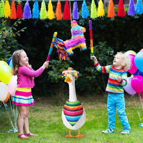 Shyyween bright Mexican goose costume brightens yard parties.