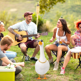 Shyyween goose photoshoot setup creates stylish yard display.