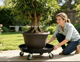 SIAMO 360-degree swivel wheels glide quietly on floors.
