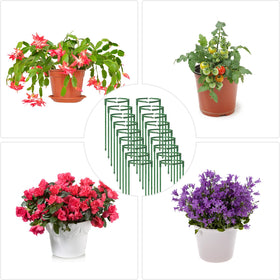 SIBRANT detachable stackable cage offers flexible configurations for various plants.