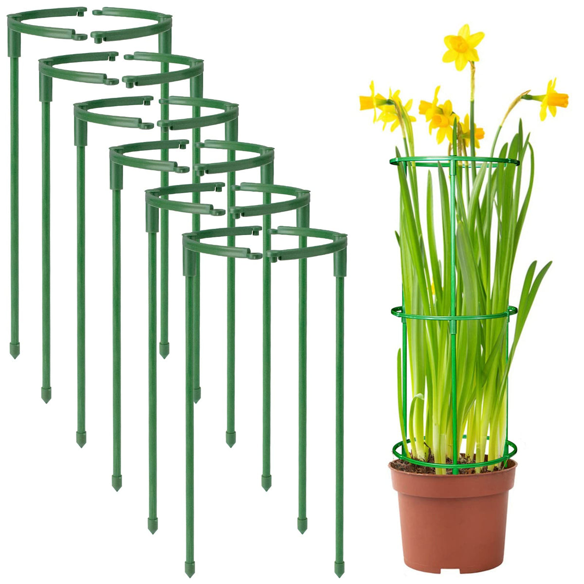 SIBRANT half-round stake 12-pack supports upright indoor plants
