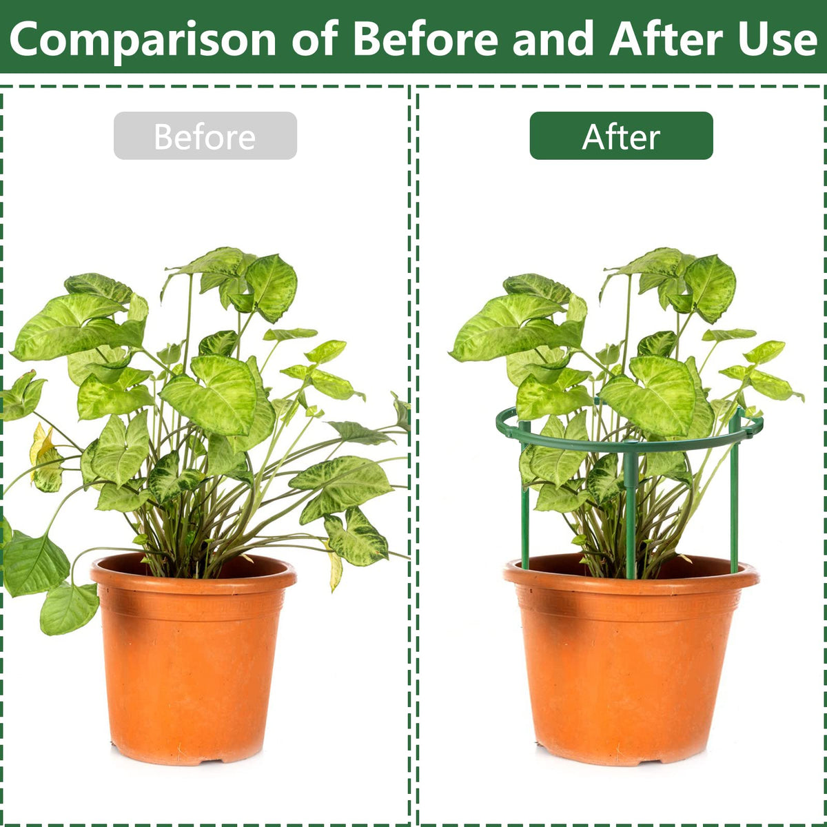 SIBRANT plant cage assembly enables customizable plant protection