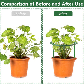 SIBRANT plant cage assembly enables customizable plant protection