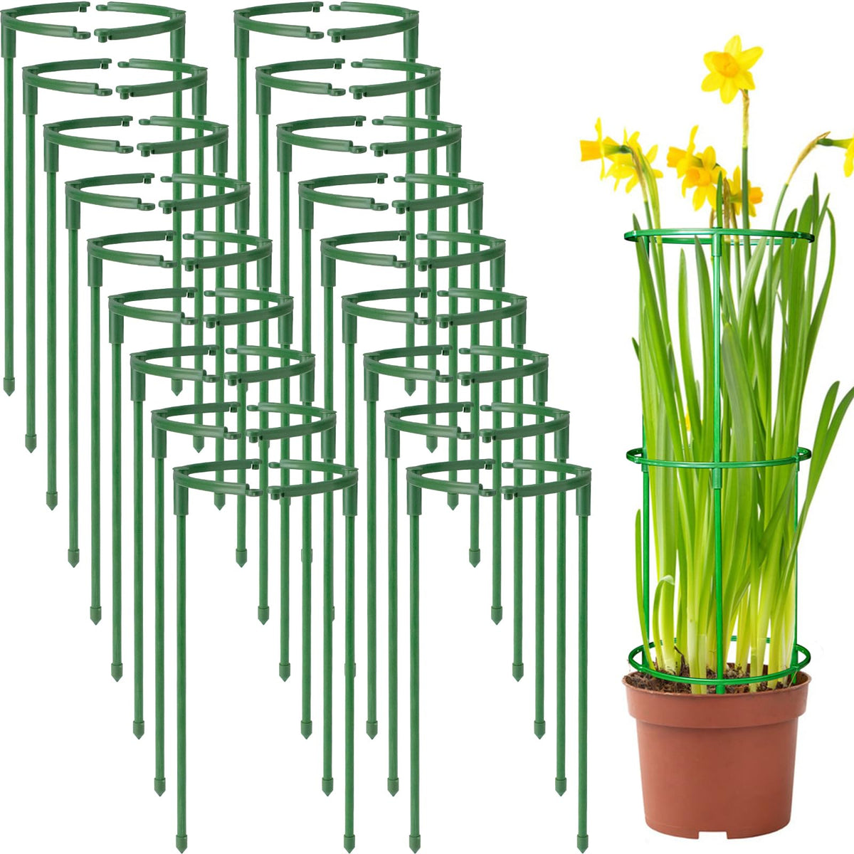 SIBRANT plant support stake half-round arc stabilizes tall stems.