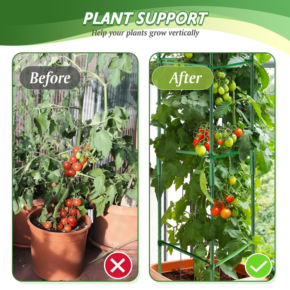 Sidefusi 48-inch cages stabilize tall tomato plants in a small urban garden.