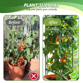 Sidefusi 48-inch cages stabilize tall tomato plants in a small urban garden.