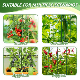 Sidefusi garden setup shows cages supporting flowers and vegetables in a balcony bed.