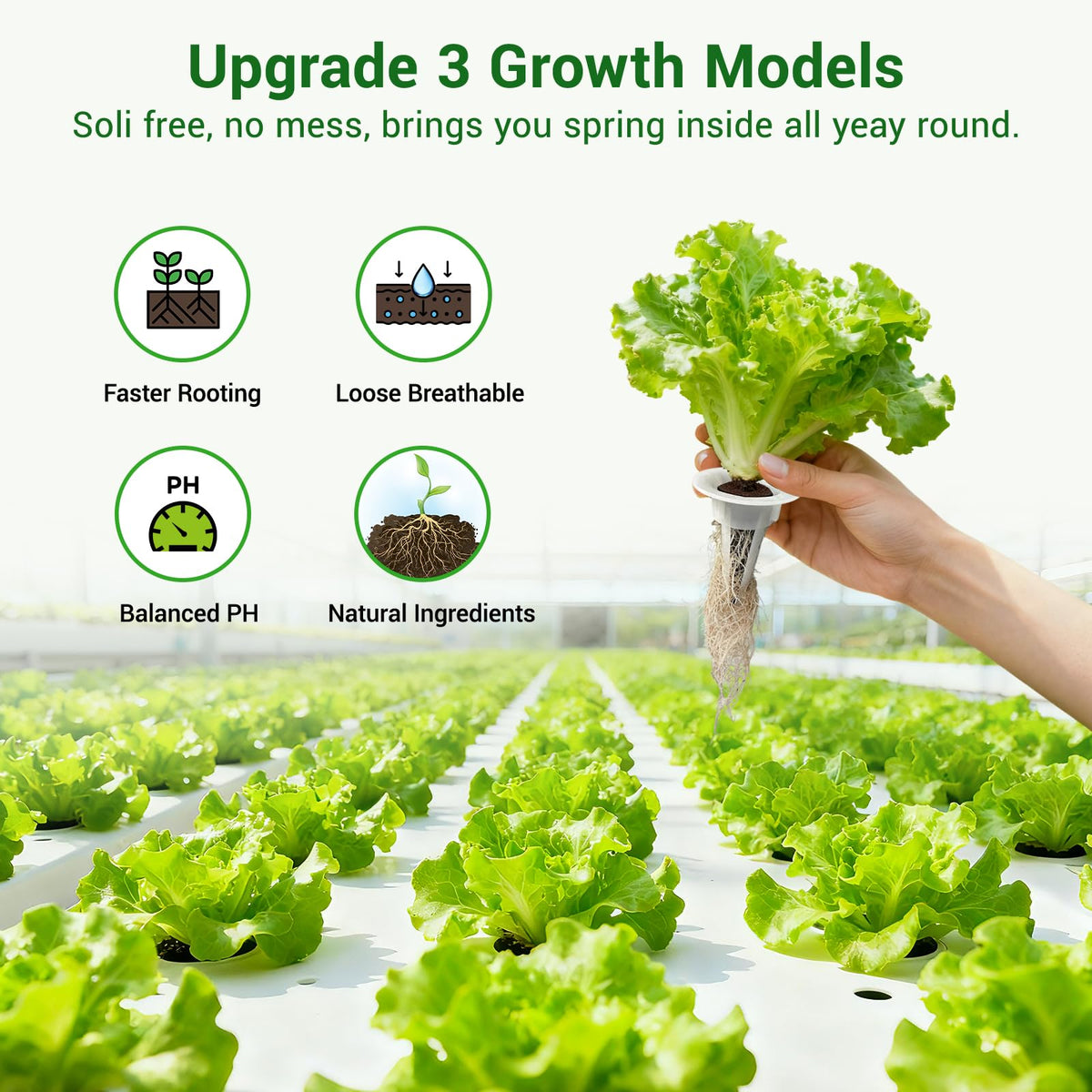SIETAMIS cloning-tray-compatible sponges fit standard trays for propagation