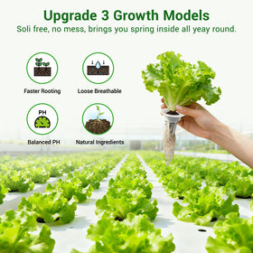 SIETAMIS cloning-tray-compatible sponges fit standard trays for propagation
