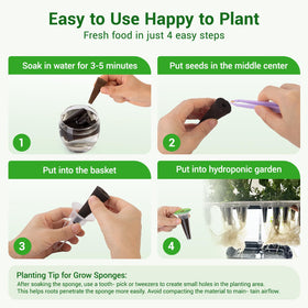 SIETAMIS moisture-retention sponges keep seeds hydrated for germination