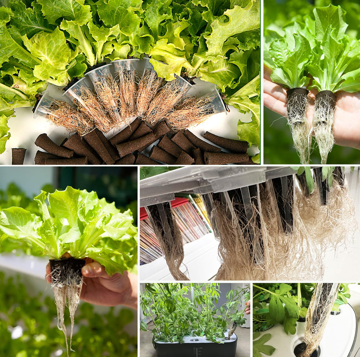 SIETAMIS included tweezer facilitates precise seed placement