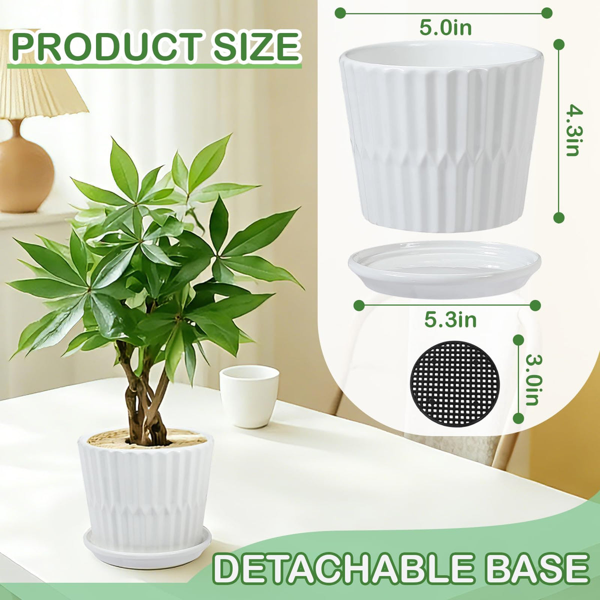 sietpoek connected saucer keeps surfaces dry and clean