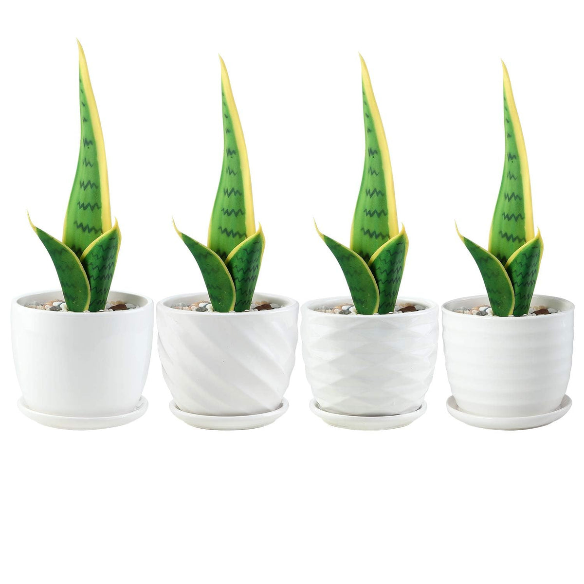Sietpoek desk planter white cylinder complements modern interiors.