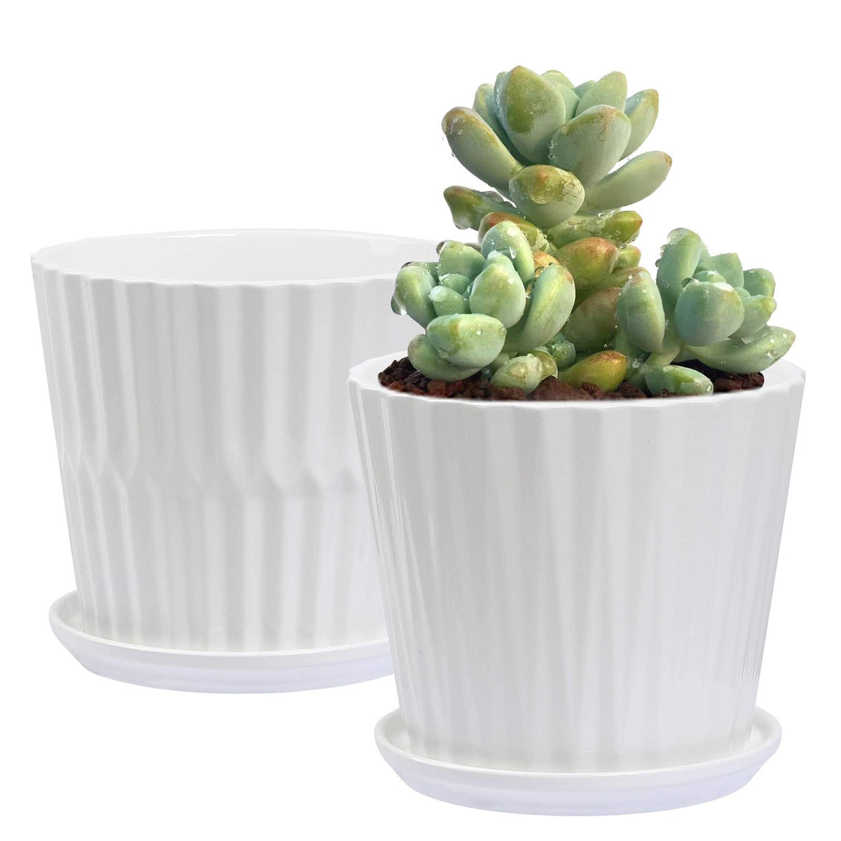 Sietpoek 6.7-inch cylinder ceramic planter with attached saucer for clean drainage.