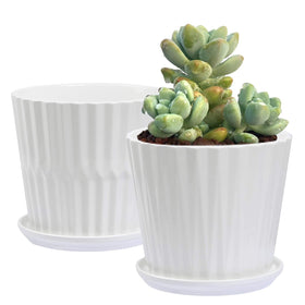 Sietpoek 6.7-inch cylinder ceramic planter with attached saucer for clean drainage.