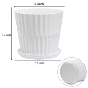 Sietpoek two-pack white planter set ideal for succulents and small snake plants.