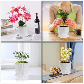 Sietpoek white cylinder planter enhances desks, shelves, and windowsills.