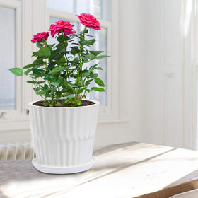 Sietpoek kaolin ceramic pot with modern, clean lines.