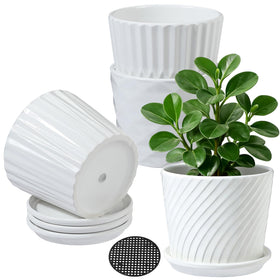 sietpoek plant pots 5.5-inch white cylinder with attached saucer for tidy watering