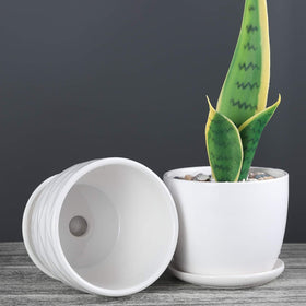 Sietpoek polished ceramic planter is sturdy and easy to clean.