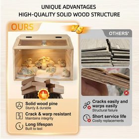 Silanit brood kit contents including lamp, socket, cord, thermometer, feeders.