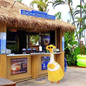 Silicherry yellow goose costume brightens porches with playful charm
