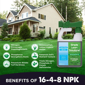 Simple Lawn Solutions 16-4-8 label highlights balanced NPK for lawns.