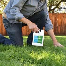 Lawn types including Bermuda and Zoysia respond to Simple Lawn Solutions