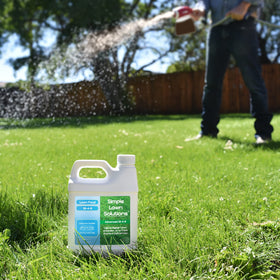 Concentrated lawn fertilizer ready for dilution with spray equipment
