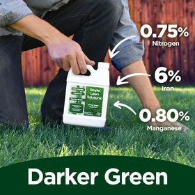 Simple Lawn Solutions Darker Green closeup hints at nutrient-rich formula for vibrant foliage
