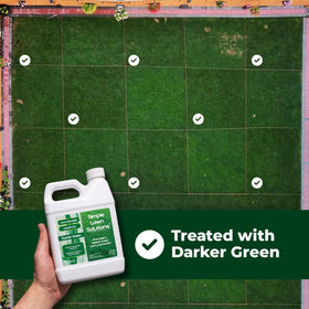 Simple Lawn Solutions Darker Green lawn application step shows easy, effective feeding