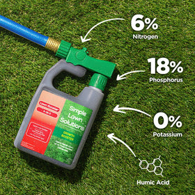 Seedling vigor emphasized by Simple Lawn Solutions Growth Booster during establishment.