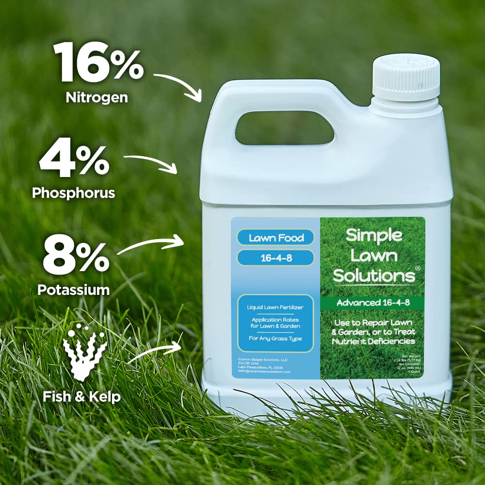 Greened turf after applying Simple Lawn Solutions 164-plant food