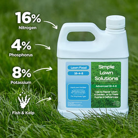 Greened turf after applying Simple Lawn Solutions 164-plant food